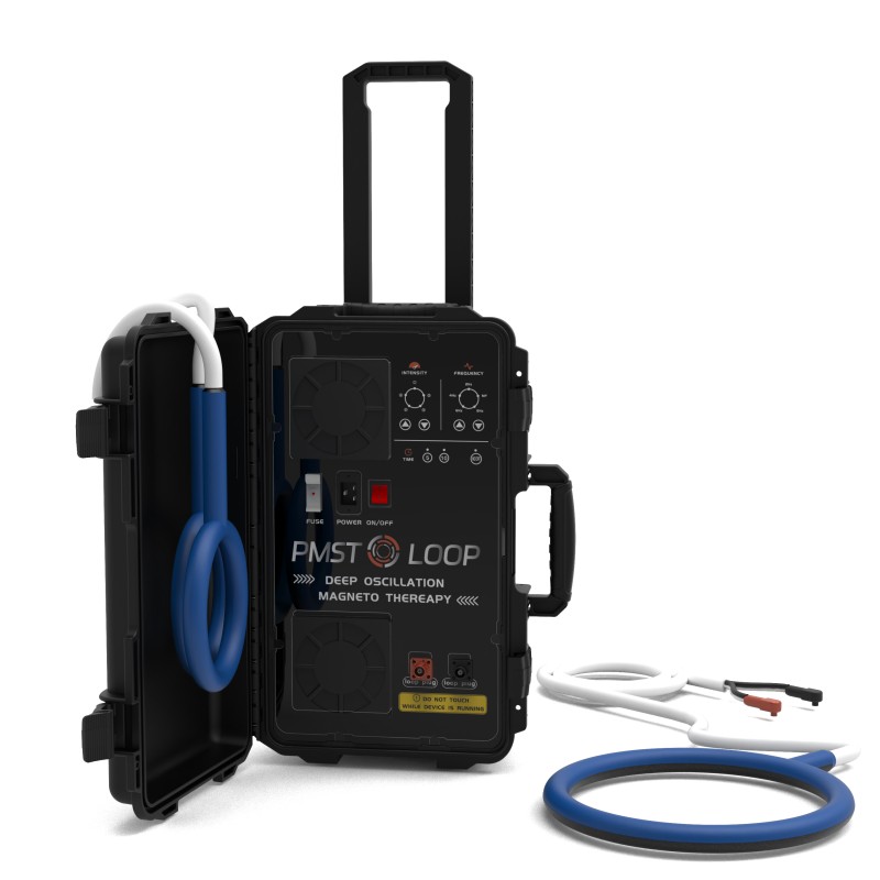 PMST LOOP PEMF Therapy Horse E - đánh giá và giá Therapy Health And Wellness