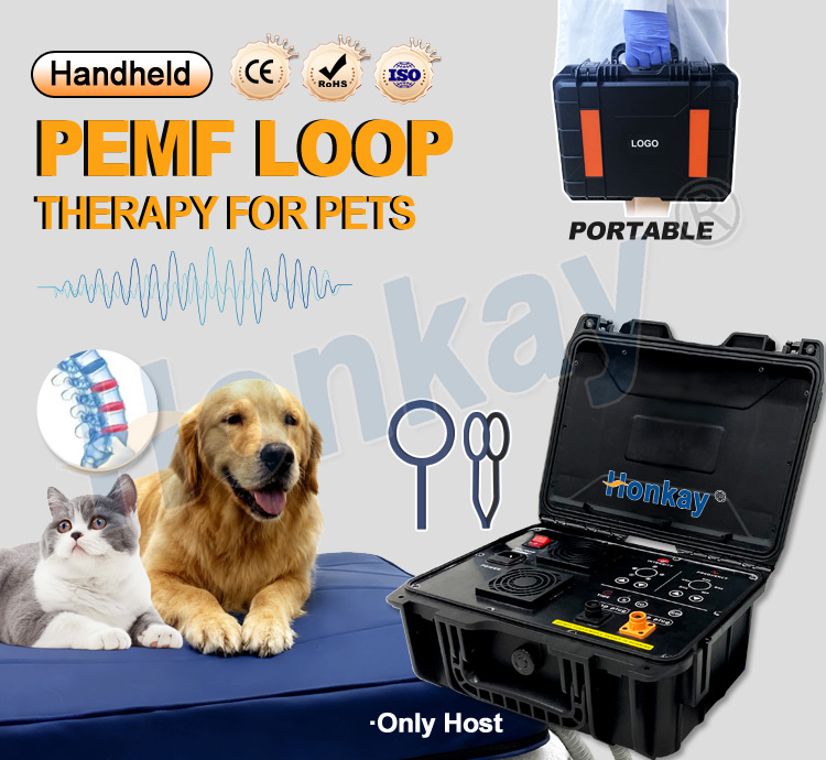 Personal Pet Care PEMF Device  - đánh giá và giá Therapy Health And Wellness